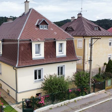 Pension U Stastnych マリアーンスケー・ラーズニェ エクステリア 写真