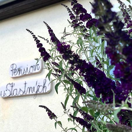 Pension U Stastnych マリアーンスケー・ラーズニェ エクステリア 写真